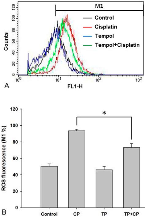 Protective Effect of Tempol against Cisplatin-Induced Ototoxicity