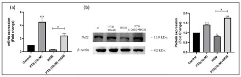 Pterostilbene Reverses Epigenetic Silencing of Nrf2 and Enhances ...