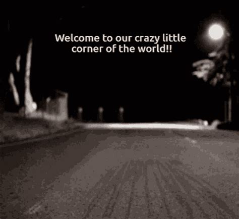 dancing raccoon gif