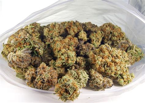 Image result for Alien OG Facts