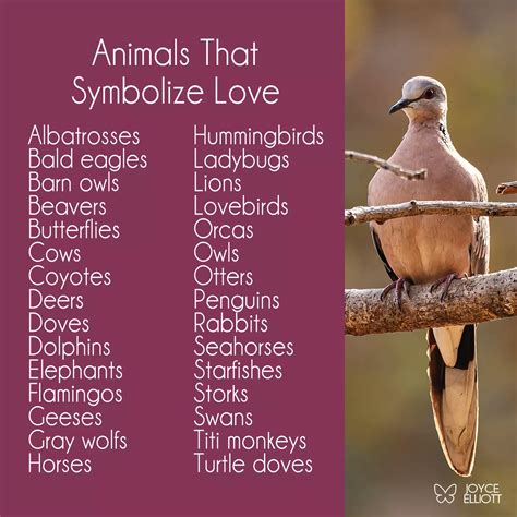 Love Animal Symbol