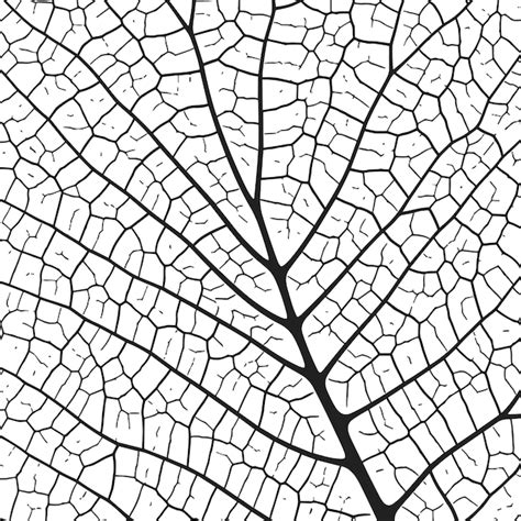 Textura da veia das folhas fundo abstrato com close up células de ...