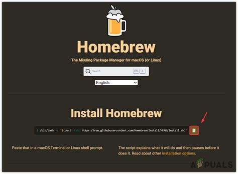 MongoDB Tutorial Mac 的图像结果