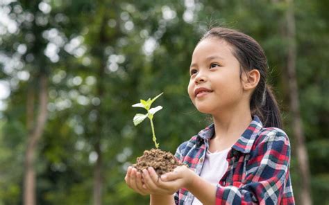 Sustainable Development Archives - The Green Acres Academy