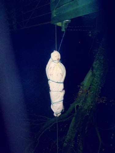 Image result for Body Armor Tree