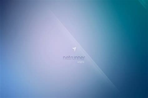 Image result for Netrunner Setup