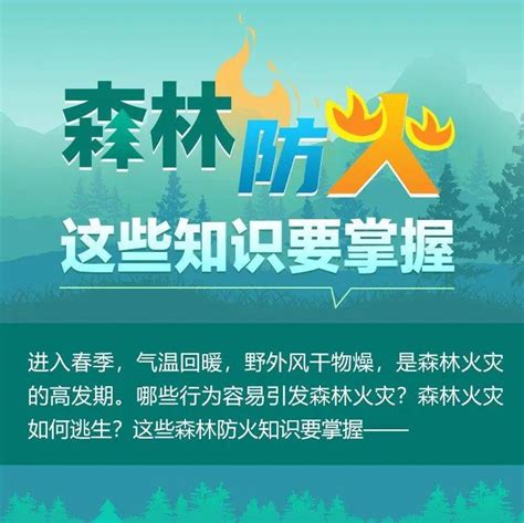 【森林防火】关于森林防火，你需要了解这些→_黑龙江_王学良_来源