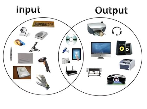 Image result for Computer Input and Output Devices List