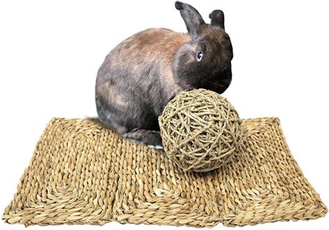Best Flooring for Rabbits [2026 Review] Floor Covering Bunny Hutch Cage