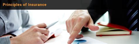 Image result for Explain Three Principles of Insurance