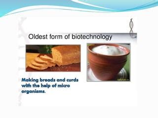 Types Classical Biotechnology 的图像结果