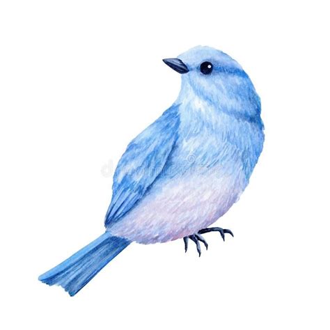 cute bird illustration