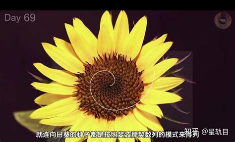 数列 的图像结果