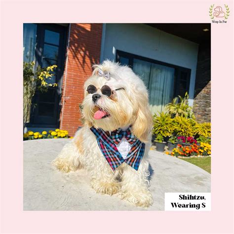 Shop Midnight Mosaic Tuxedo Bandana for Dogs at ₹379 – Wrapinfur