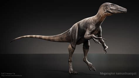 Megaraptor
