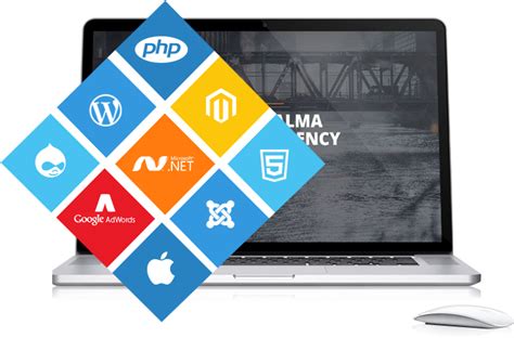 Professional Website Development Services India - Cityweb