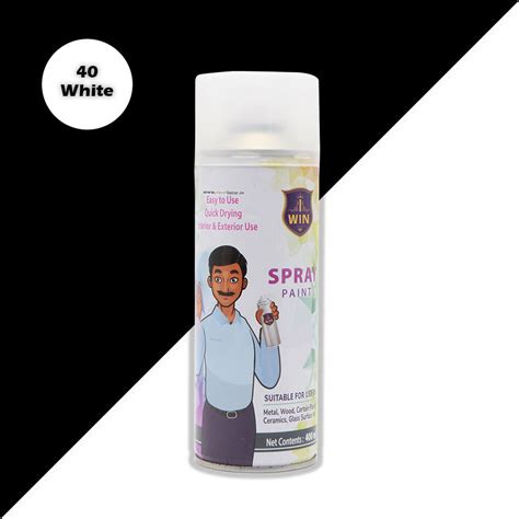 IWIN: Spray Paint Bottle - 400ml/275gms