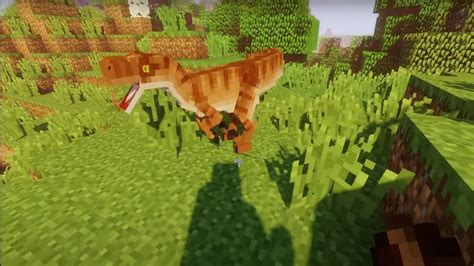 Command to Be Animal Minecraft Java 的图像结果