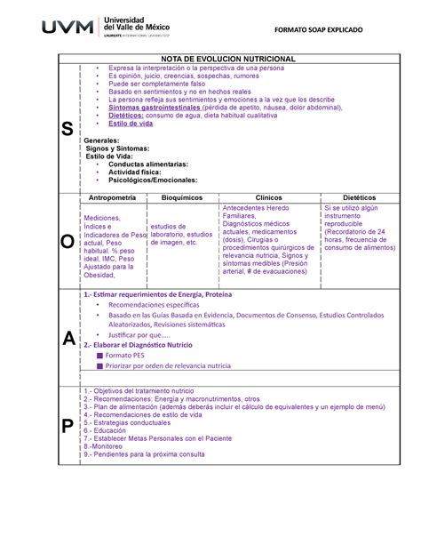 How To Write Occupational Therapy SOAP Notes