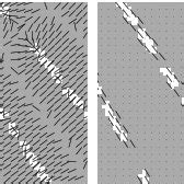 Image result for Gradient Vector Flow Python