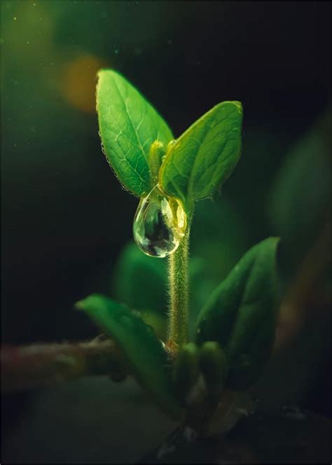 Sustainability Efforts - See Love