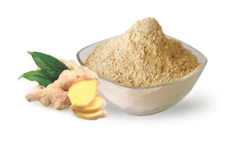 GINGER GARLIC POWDER 150 – Food Care INDIA