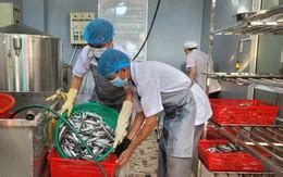 empoleon vmax card | Sign Up and Earn ₹250 Bonus-APK-IN V 2.49