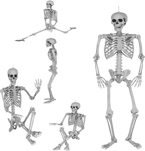 ETHY Life Size Skeleton Halloween Decoration with Light, India | Ubuy