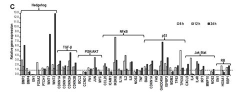 Compound K, a Ginsenoside Metabolite, Inhibits Colon Cancer Growth via ...