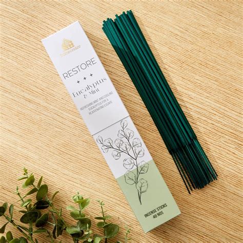 Buy Adora Restore Set of 40 Eucalyptus and Mint Incense Sticks from ...