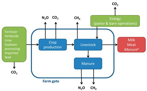 Demonstrating the Effect of Forage Source on the Carbon Footprint of a ...