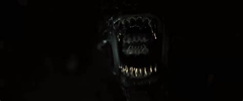 Image result for Alien Romulus Interview