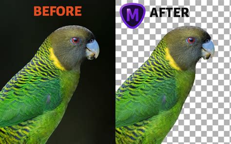 Topaz Mask Tutorial 的图像结果