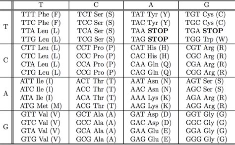 Codon Table 的图像结果
