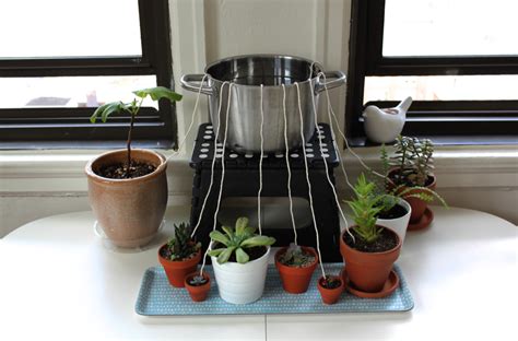 Bildergebnis für homemade self watering system
