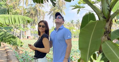 Salalah City Tour - Klook India