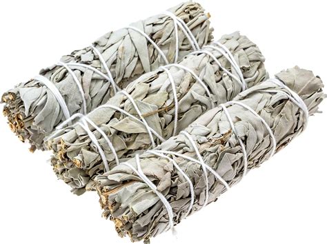 Amazon.com: Premium Organic White Sage Smudge Sticks from Big Lost ...