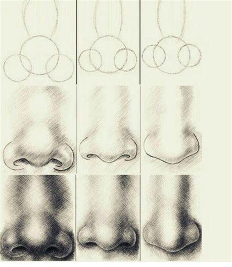 Image result for Nose Drawing Tutorial