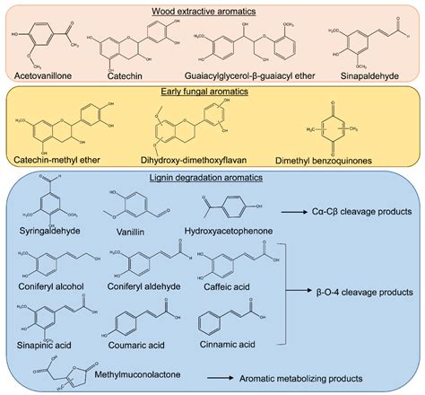 Using MALDI-FTICR-MS Imaging to Track Low-Molecular-Weight Aromatic ...