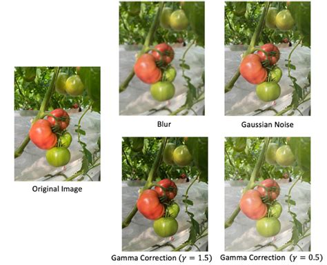 Image result for Data Augmentation Methods For