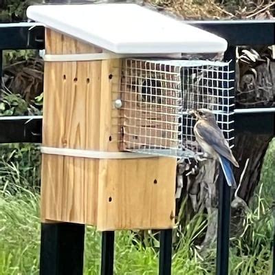 Image result for Custom Predator Leonard