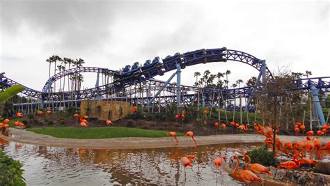 9 Not-To-Miss SeaWorld San Diego Shows & Attractions