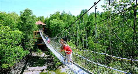 Kukup Island Johor National Park