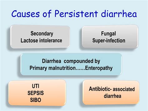 Persistent Diarrhea Causes