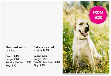 How Much Does A Dog Groomer Cost