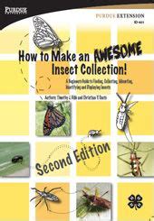 4-H Virtual Insect Collection 的图像结果