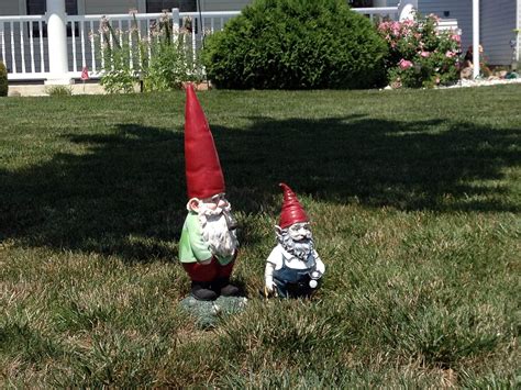 Real Gnomes Sightings