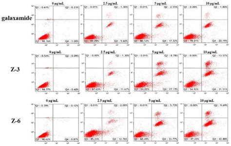 Synthesis of Marine Cyclopeptide Galaxamide Analogues as Potential ...
