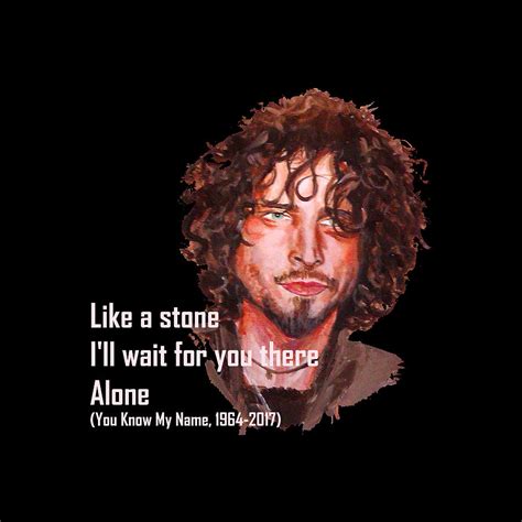 Rezultat imagine pentru Chris Cornell Audioslave Exploder