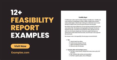 Image result for Feasibility Report Examples PDF